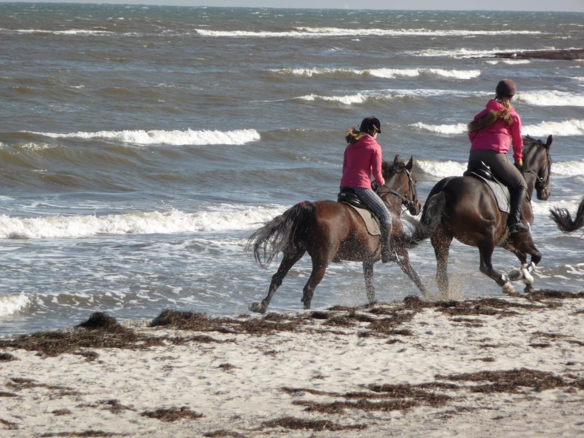 Reiten am Meer