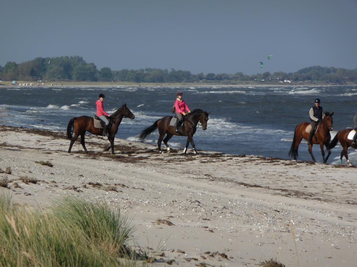 Reiterglück am Strand